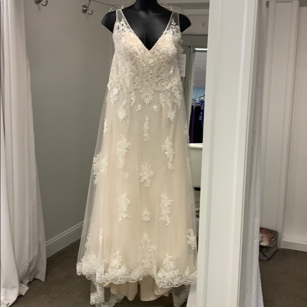 Champagne colored plus size wedding dress.